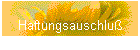 Haftungsauschlu