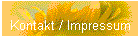 Kontakt / Impressum