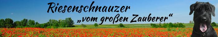 Banner vom groen Zauberer zum Download