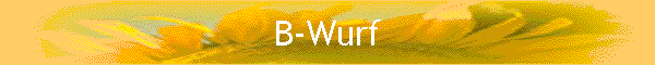 B-Wurf