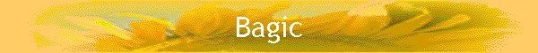 Bagic