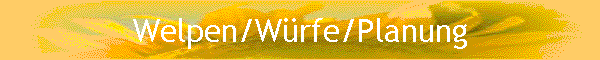 Welpen/Würfe